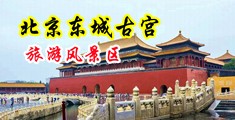 美女被操aaa中国北京-东城古宫旅游风景区